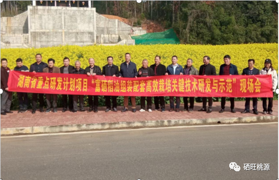 桃源縣召開富硒稻油高效栽培技術(shù)現(xiàn)場會(huì)